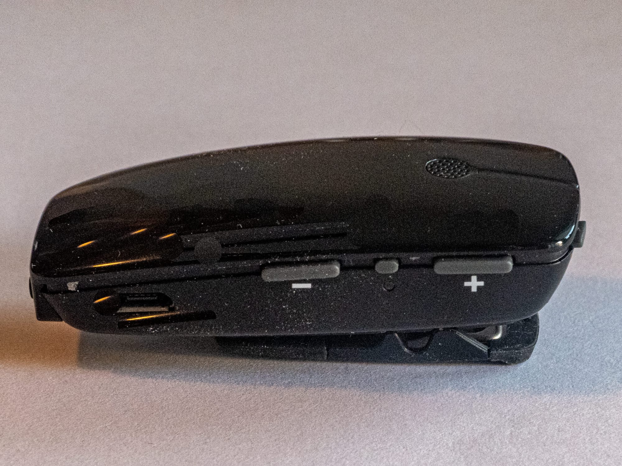 Looks Like a Cockroach; Sings Like a Canary